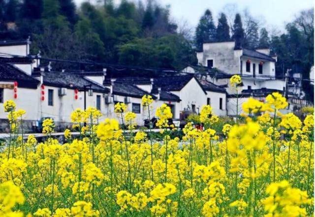 Xishan Wutong Qinyuan Hoàng Sơn Ngoại thất bức ảnh