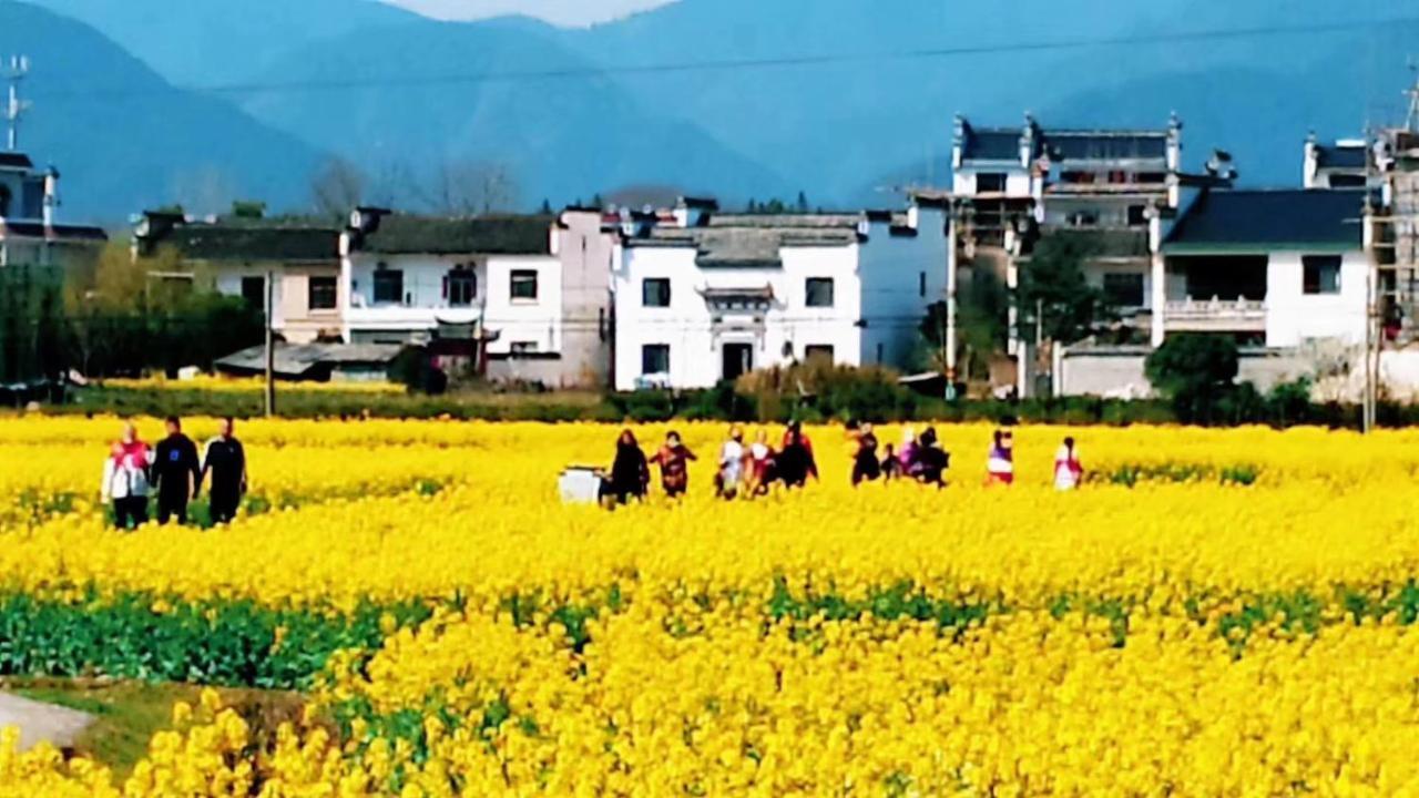 Xishan Wutong Qinyuan Hoàng Sơn Ngoại thất bức ảnh