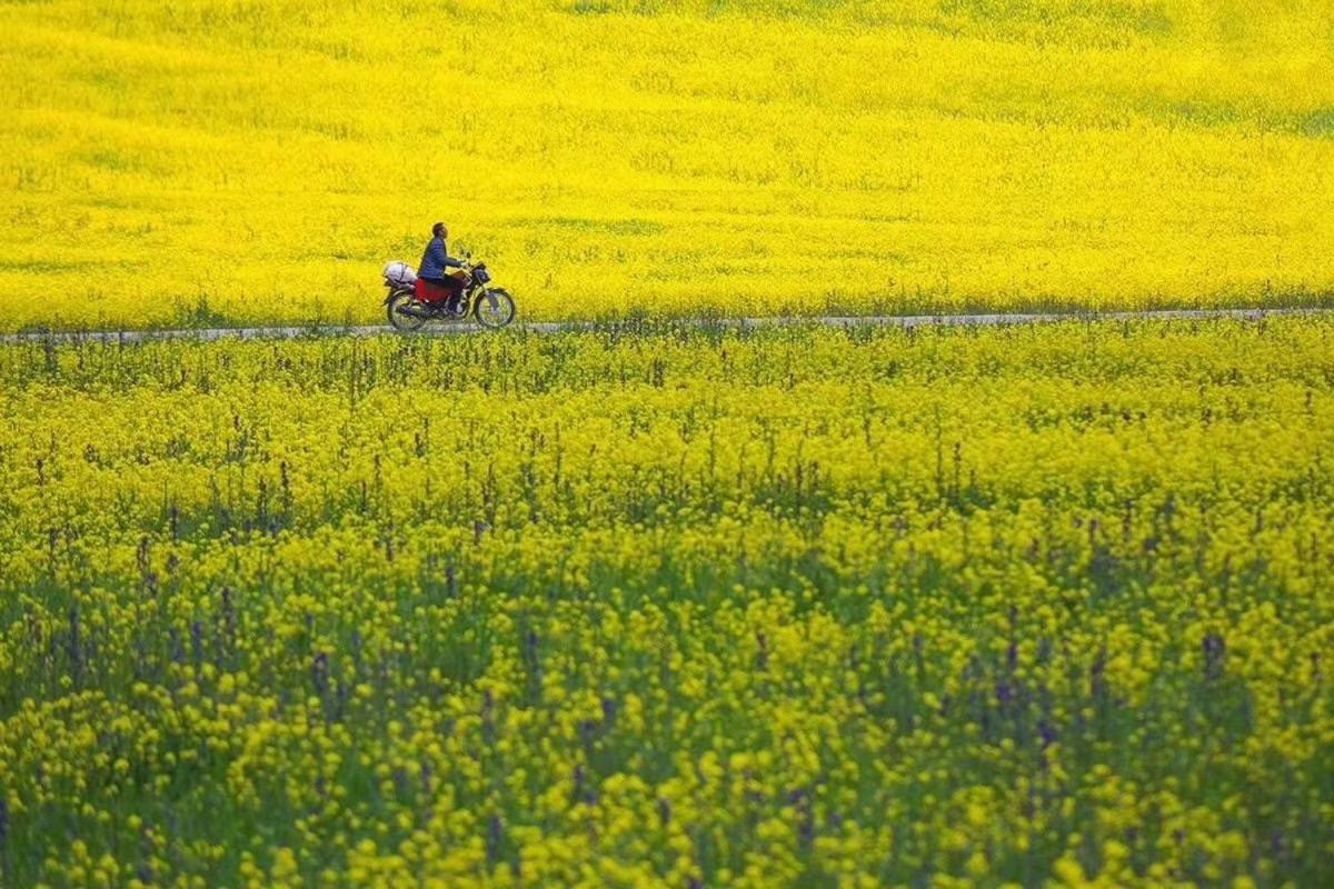 Xishan Wutong Qinyuan Hoàng Sơn Ngoại thất bức ảnh