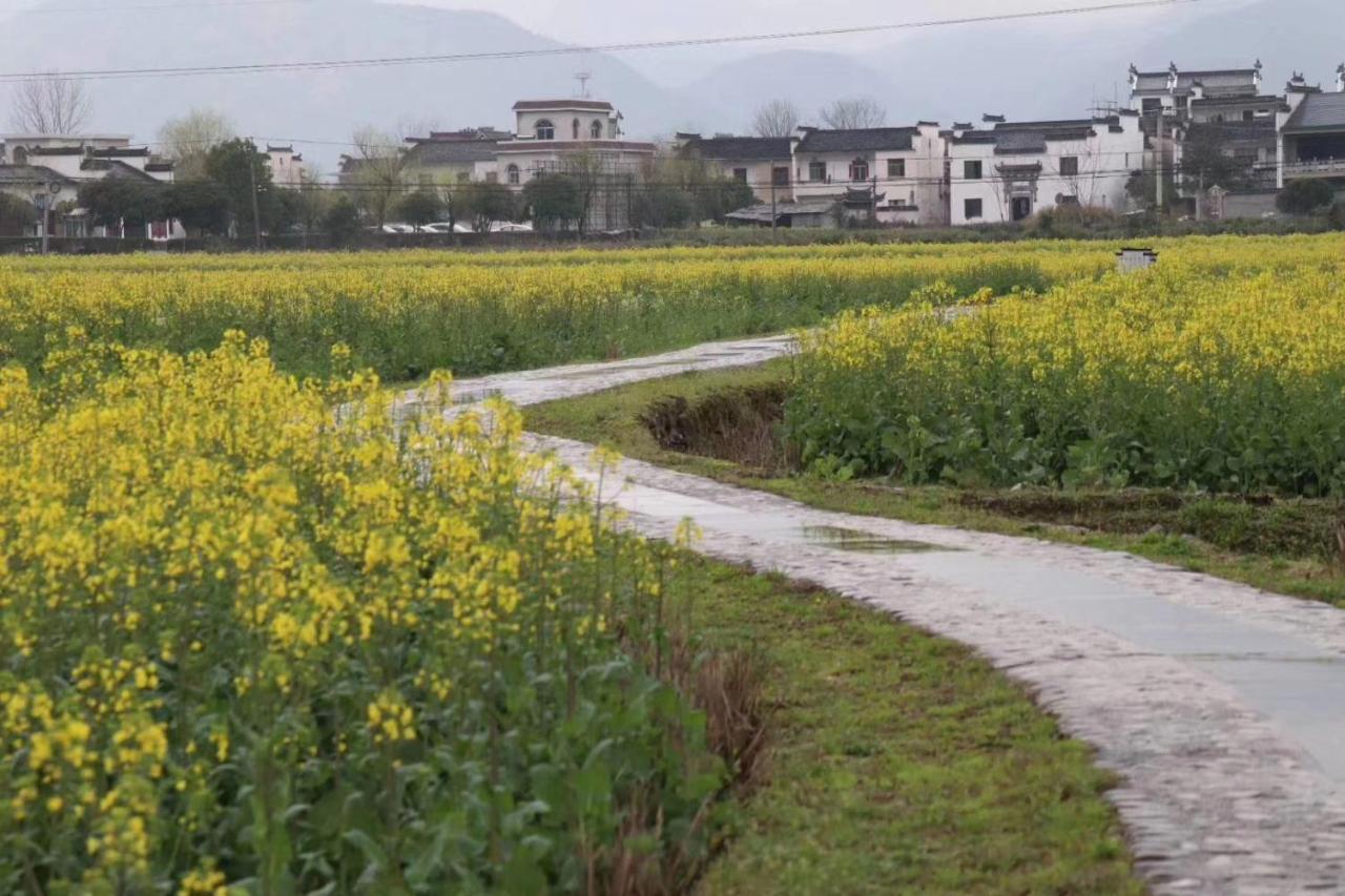 Xishan Wutong Qinyuan Hoàng Sơn Ngoại thất bức ảnh
